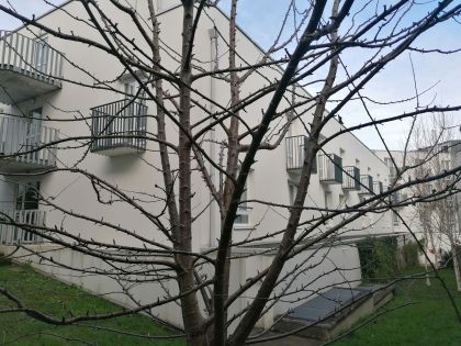 appart'hotel quimper